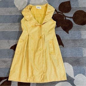 Vintage Bohme Collection Pleated Shawl Collar Flax Blend Dress